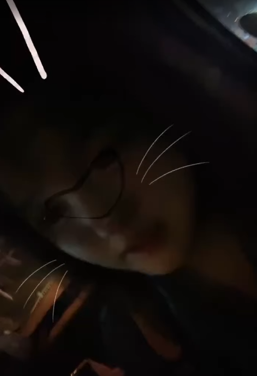 小猫电台 Live 00:21 2026-05-02 21-58-40