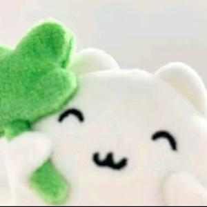 小猫电台 Video 合集